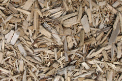 biomass boilers Braegarie
